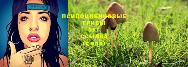 mix Абинск